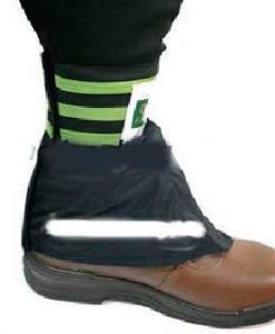 Băng chân trùm Hàn Quốc